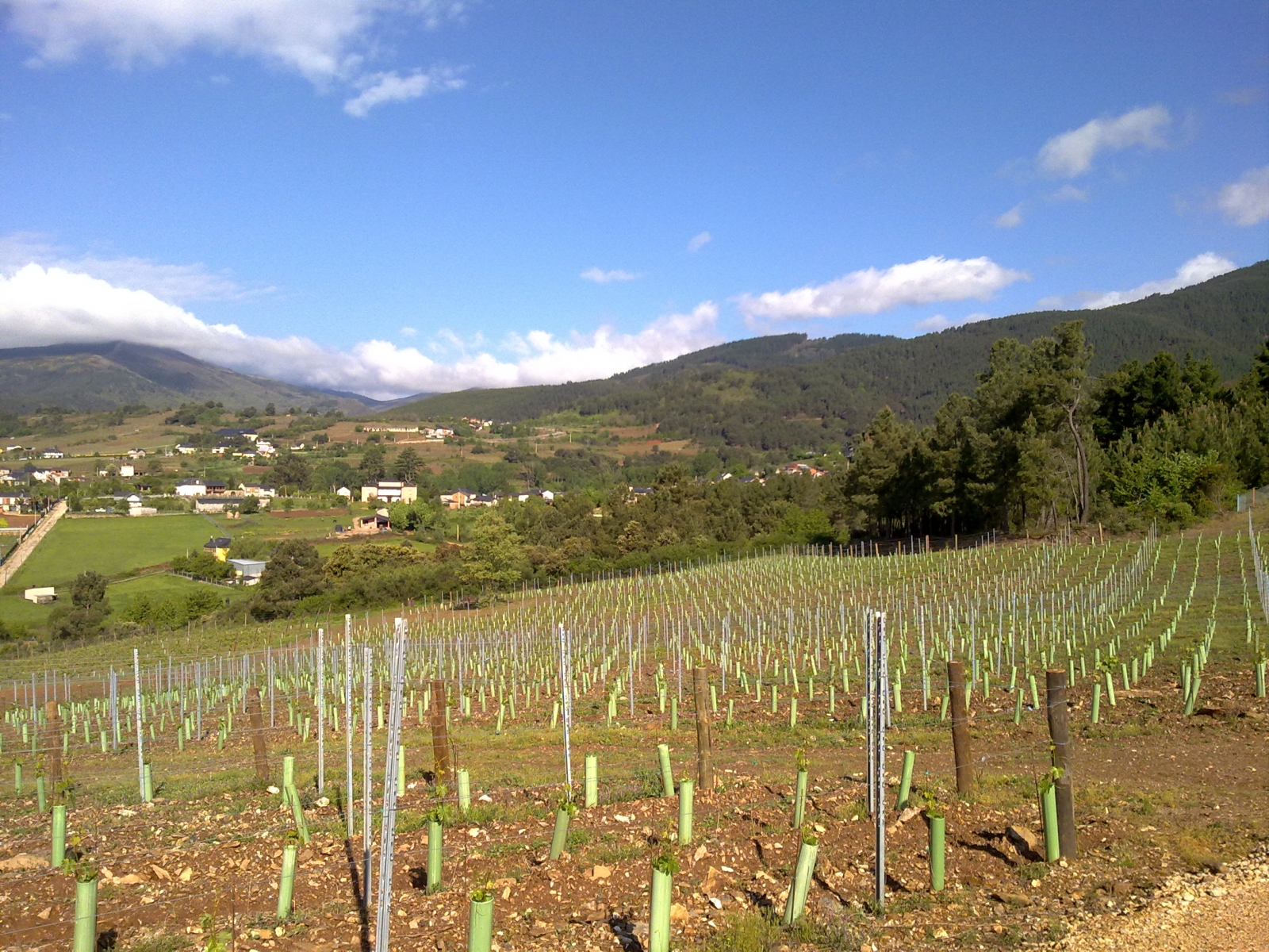 enoturismo en la ribeira sacra